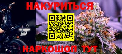 стафф Новозыбков