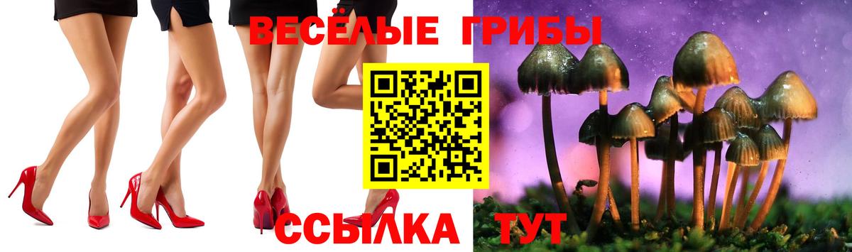 Галлюциногенные грибы Cubensis  Псилоцибиновые грибы Psilocybe  Вход с VPN  Ачхой-Мартан 